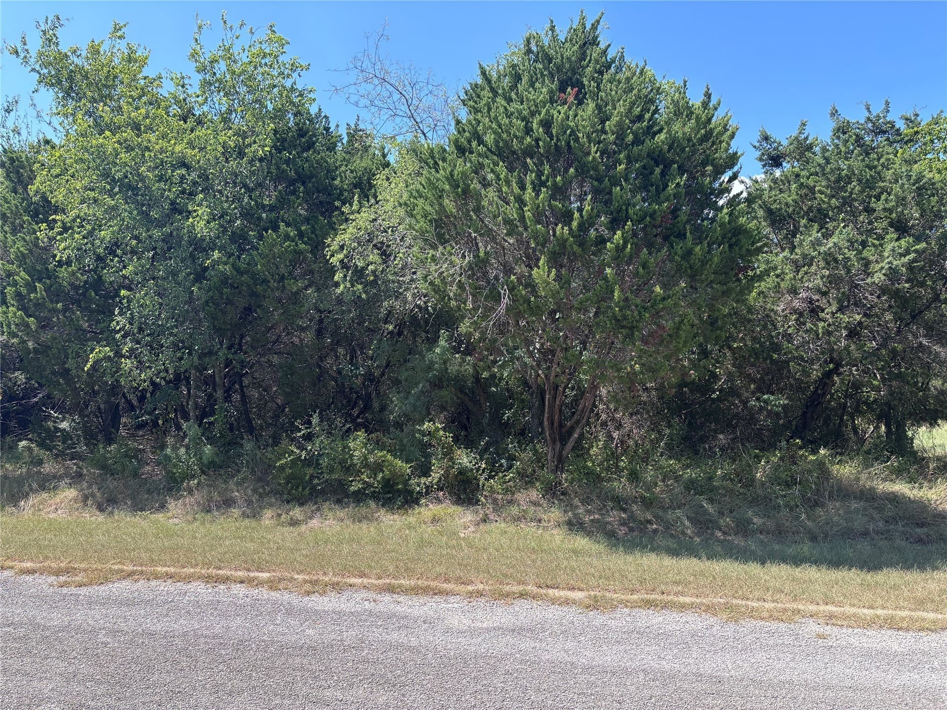 0.25 acres in Hill County - photo 2