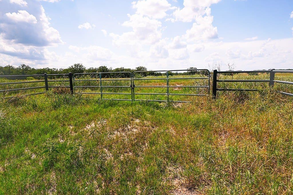 11.84 acres in Fayette County - photo 10