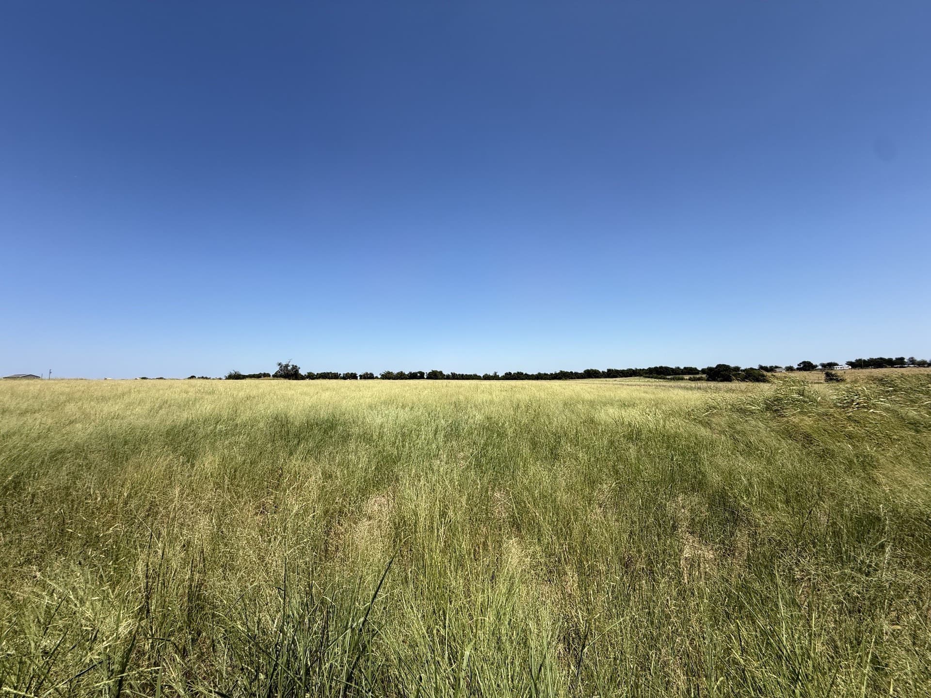 26.52 acres in Coryell County - photo 13
