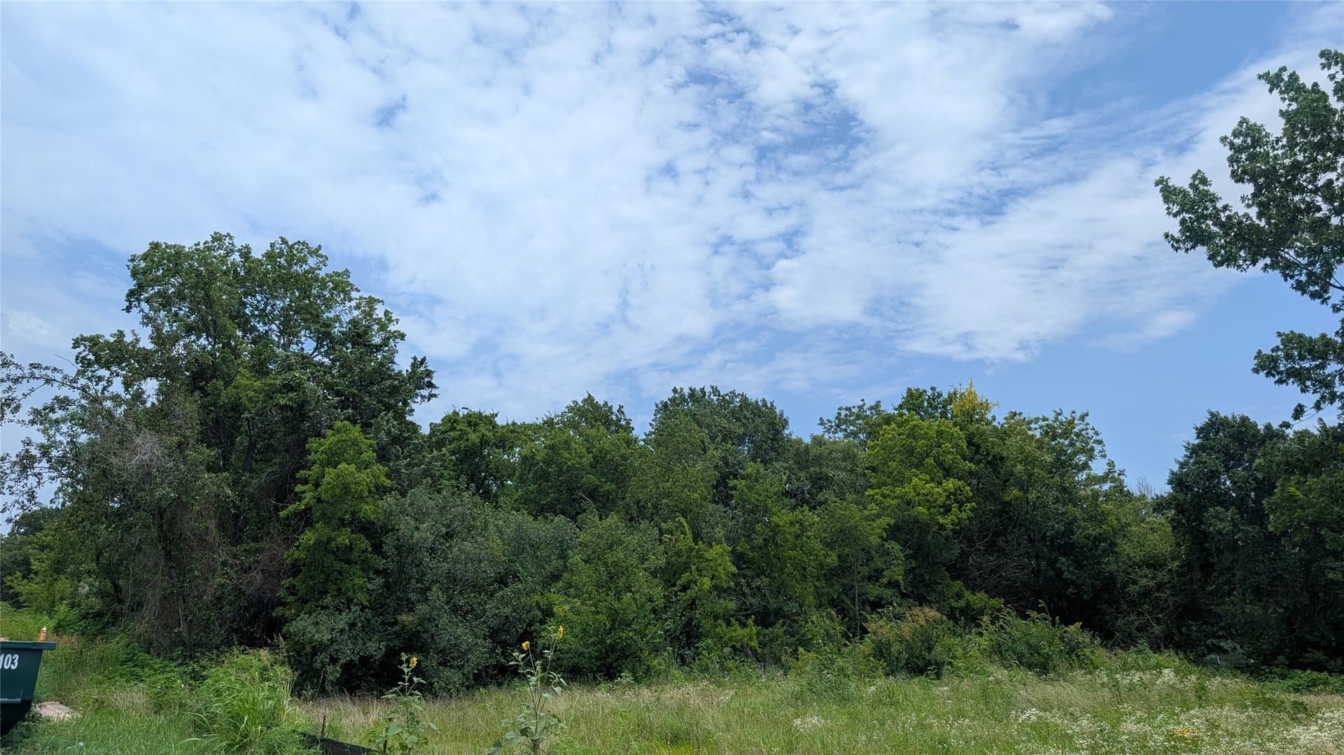 0.37 acres in Grayson County gallery image 3