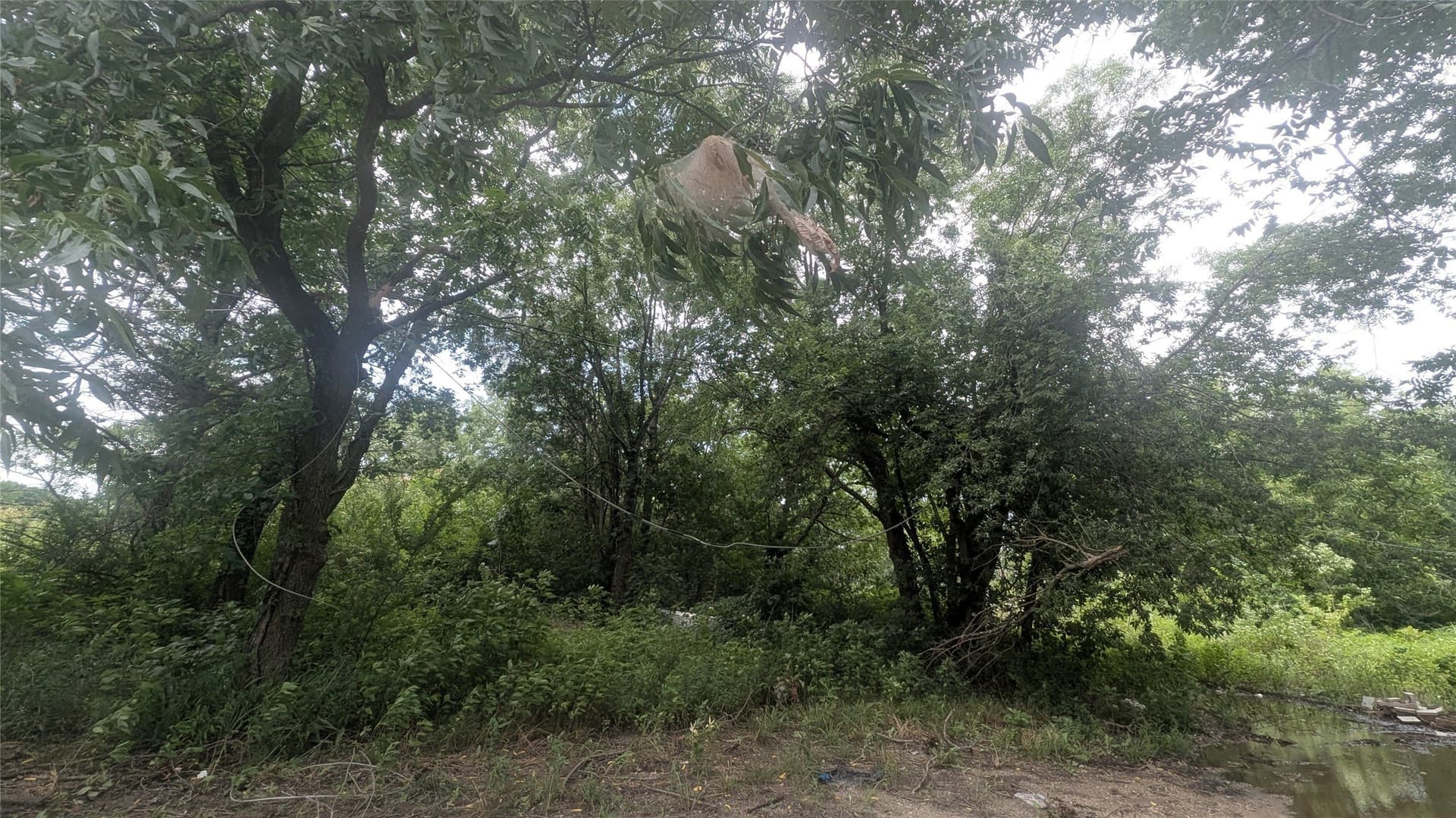 0.37 acres in Grayson County gallery image 2