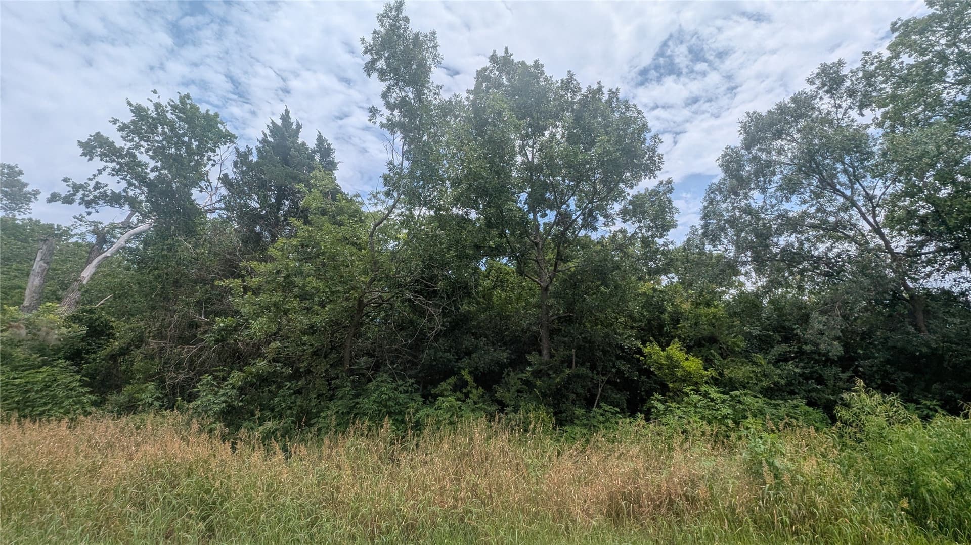 0.37 acres in Grayson County gallery image 4