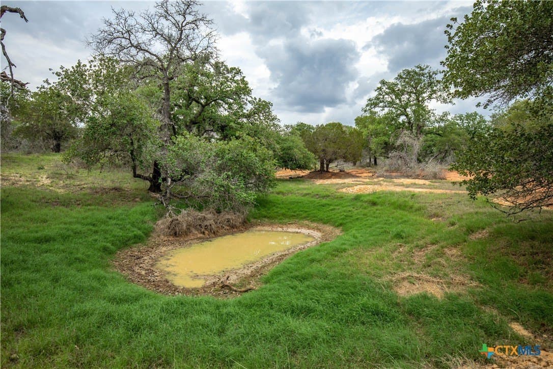 116 acres in Wilson County - photo 43