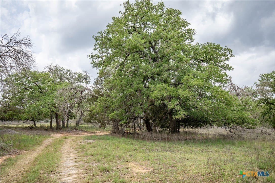 116 acres in Wilson County - photo 13