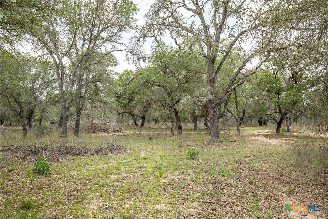 116 acres in Wilson County - photo 25