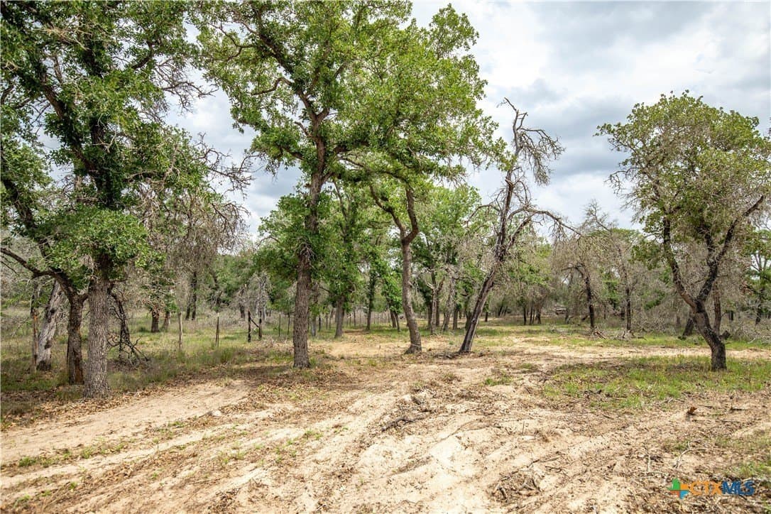 116 acres in Wilson County - photo 22