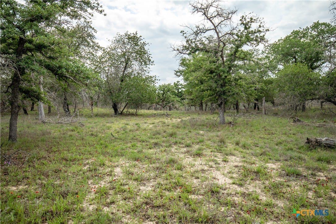 116 acres in Wilson County - photo 44