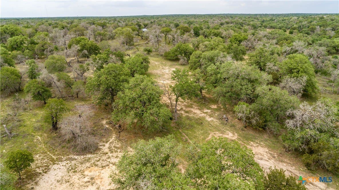 116 acres in Wilson County - photo 8