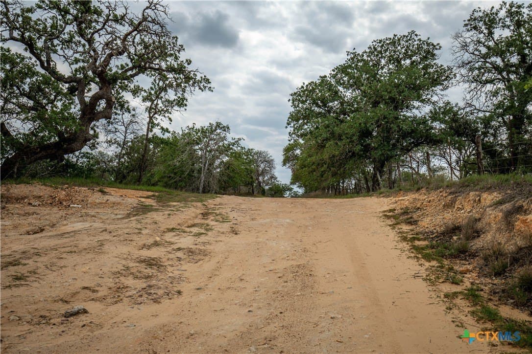 116 acres in Wilson County - photo 36