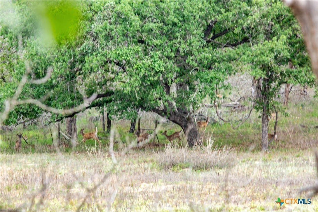 116 acres in Wilson County - photo 47