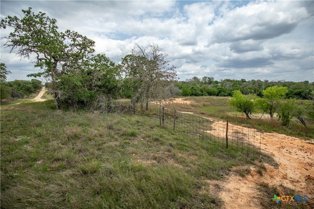 116 acres in Wilson County - photo 37