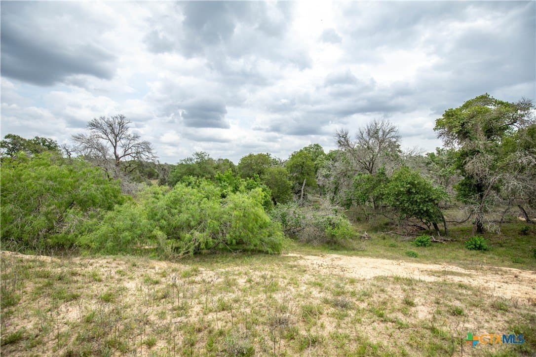 116 acres in Wilson County - photo 21