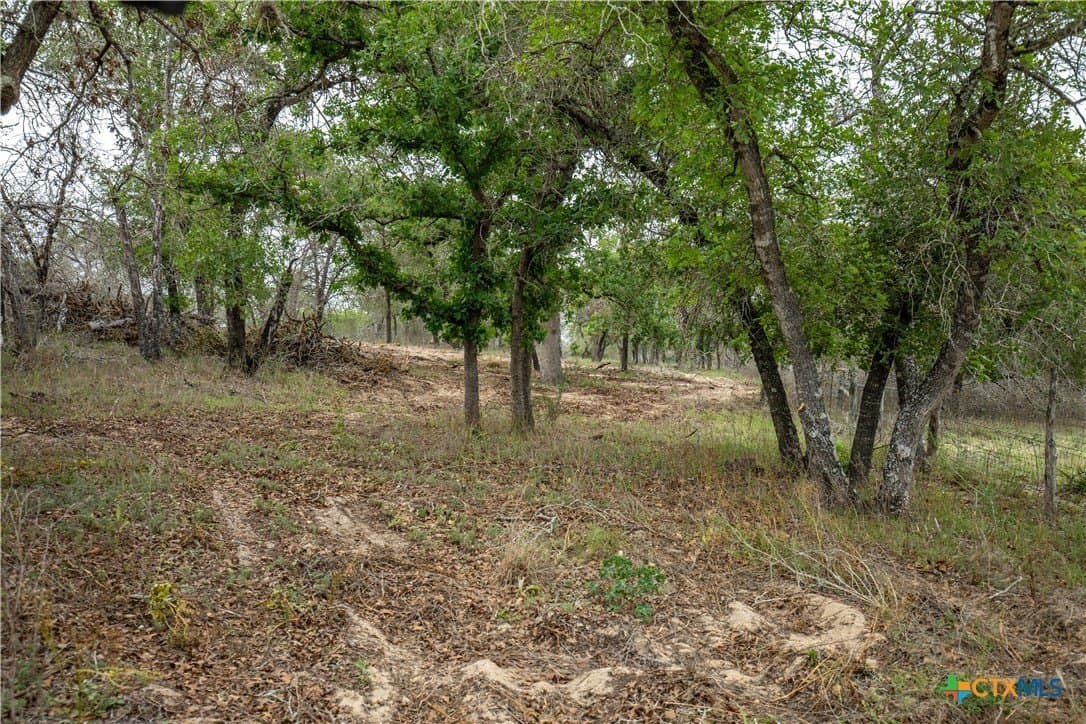 116 acres in Wilson County - photo 45