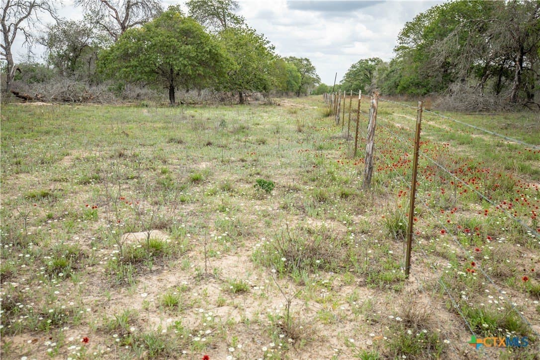 116 acres in Wilson County - photo 15