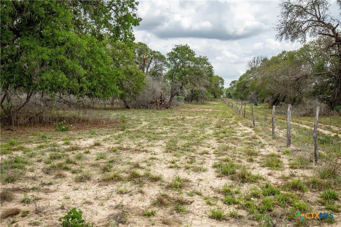 116 acres in Wilson County - photo 29