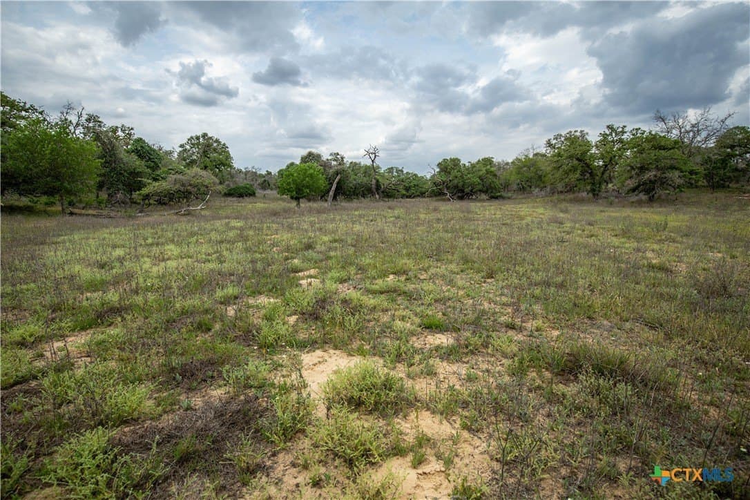 116 acres in Wilson County - photo 42