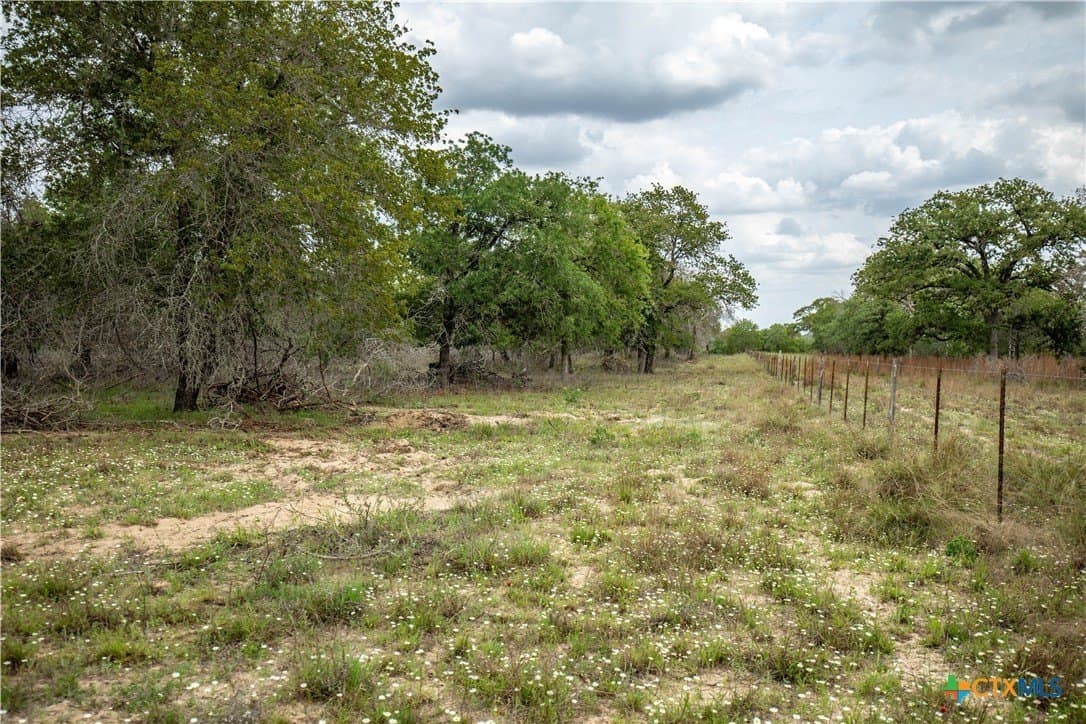 116 acres in Wilson County - photo 32