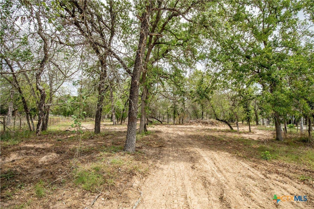 116 acres in Wilson County - photo 27
