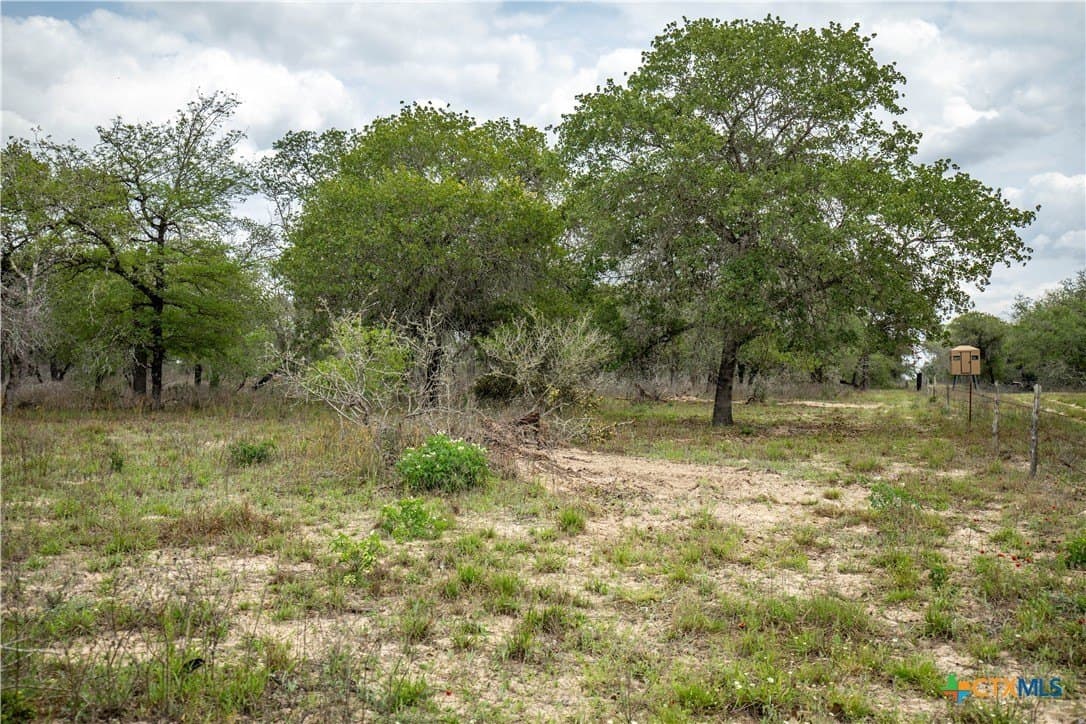 116 acres in Wilson County - photo 30