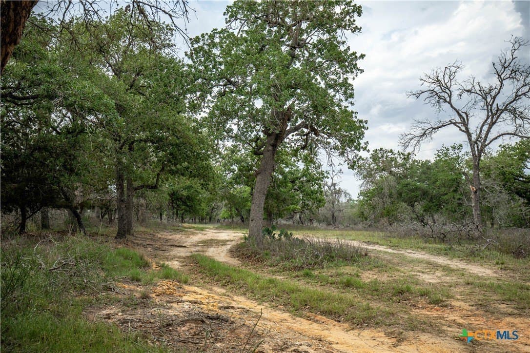 116 acres in Wilson County - photo 41
