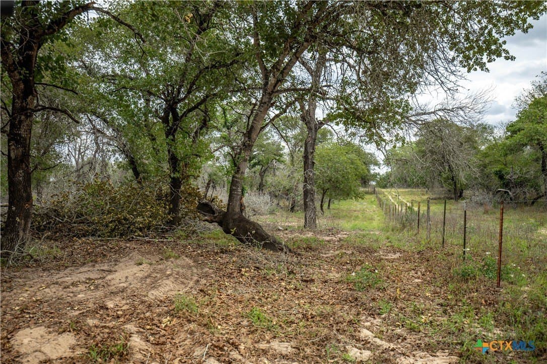 116 acres in Wilson County - photo 31