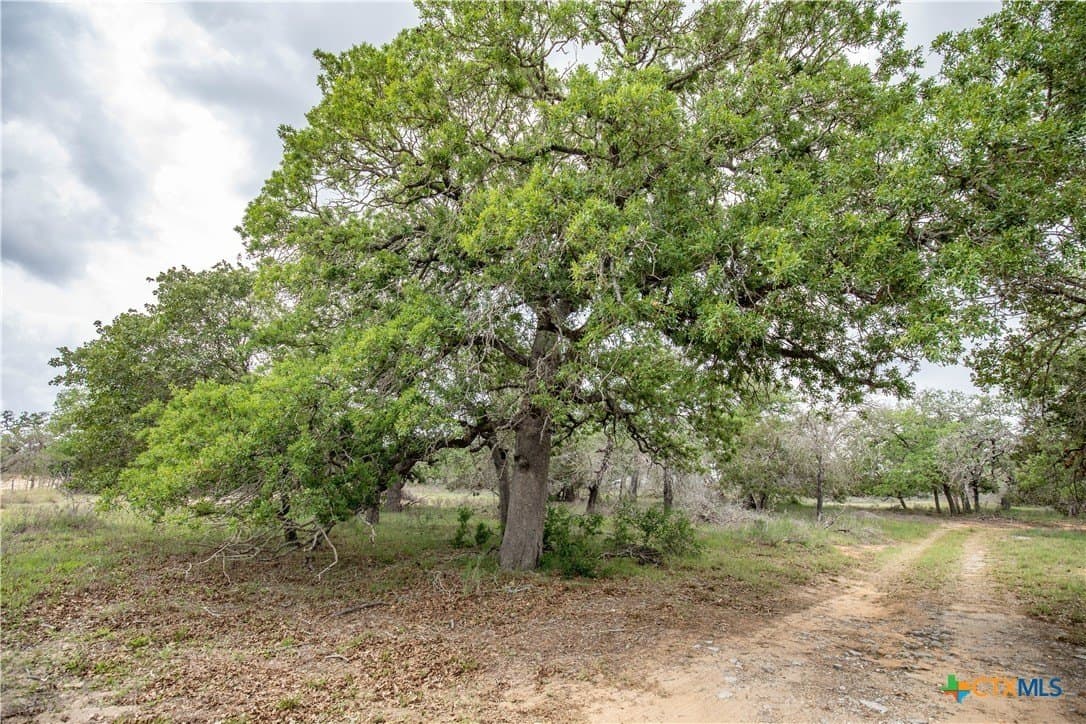 116 acres in Wilson County - photo 12