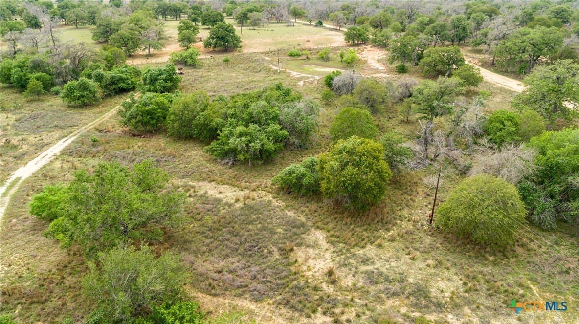 116 acres in Wilson County - photo 7