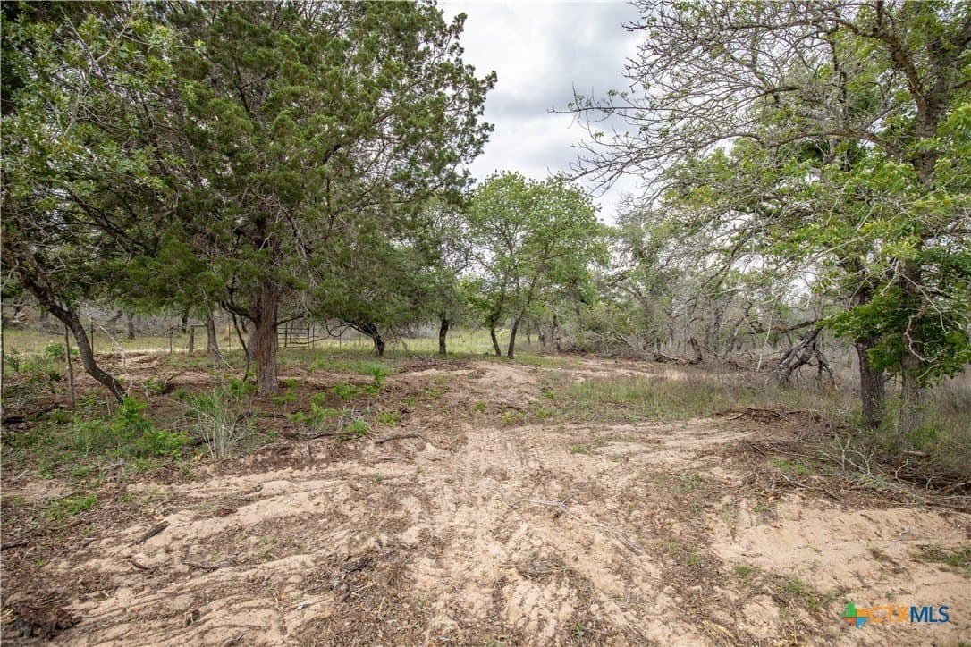 116 acres in Wilson County - photo 14