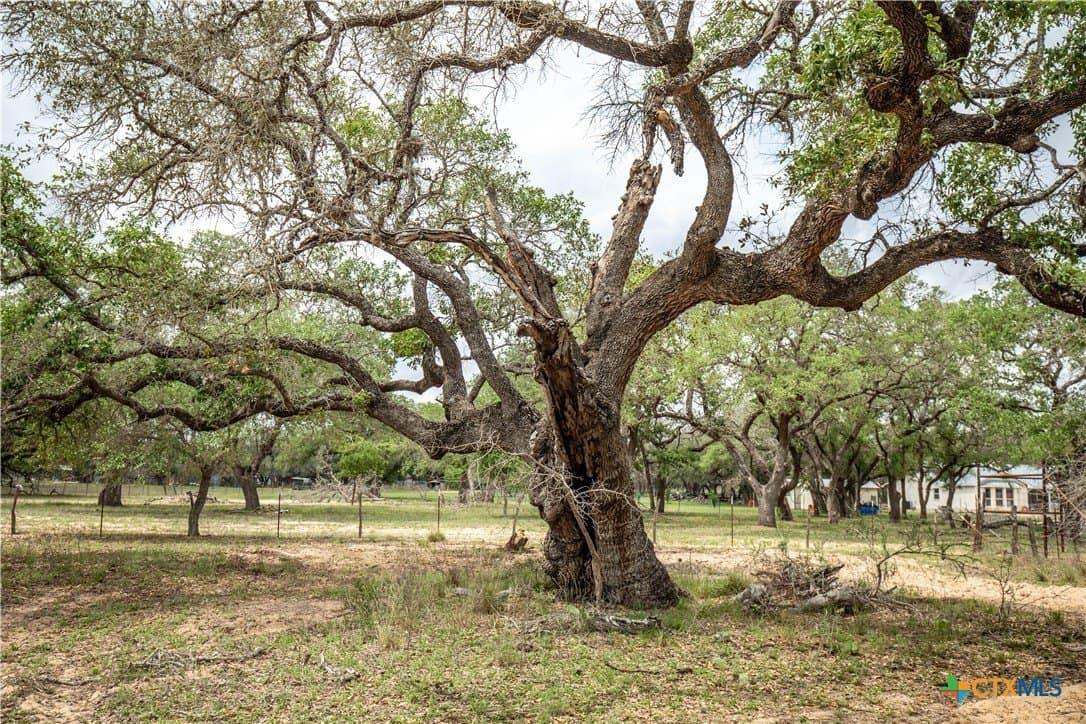 116 acres in Wilson County - photo 23