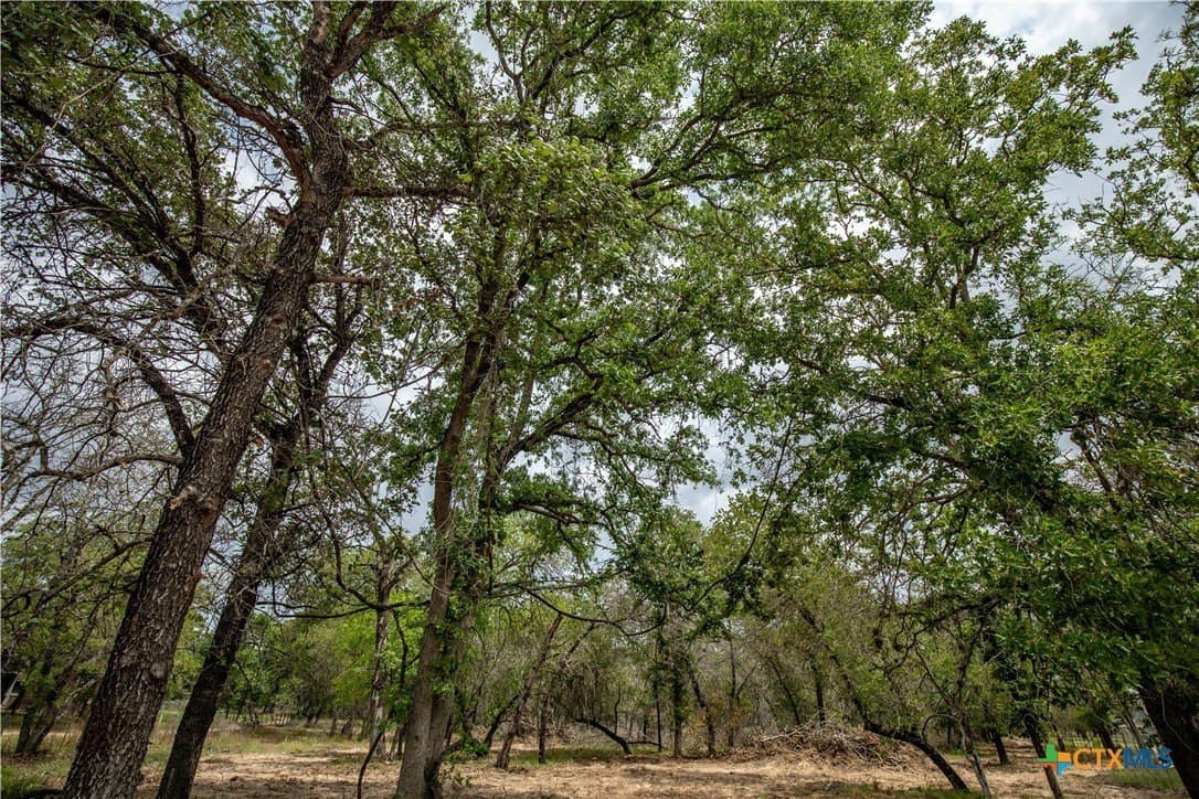 116 acres in Wilson County - photo 28