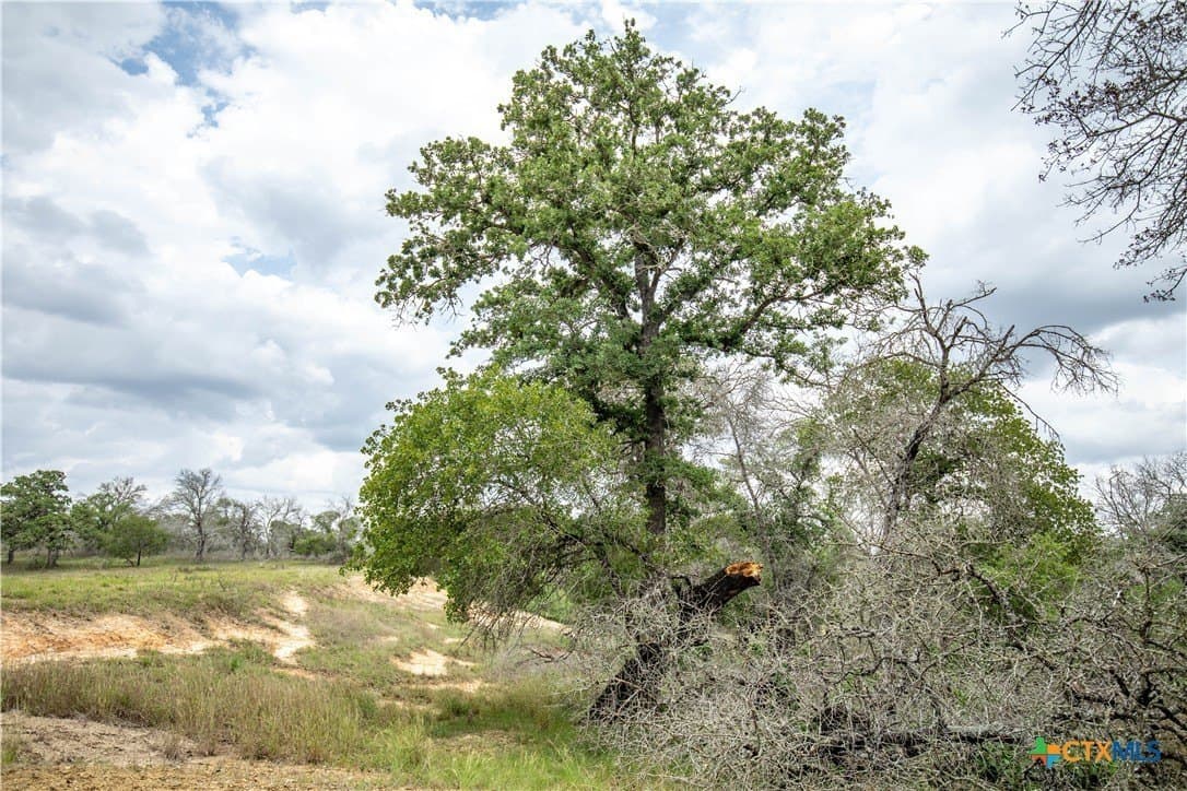 116 acres in Wilson County - photo 20