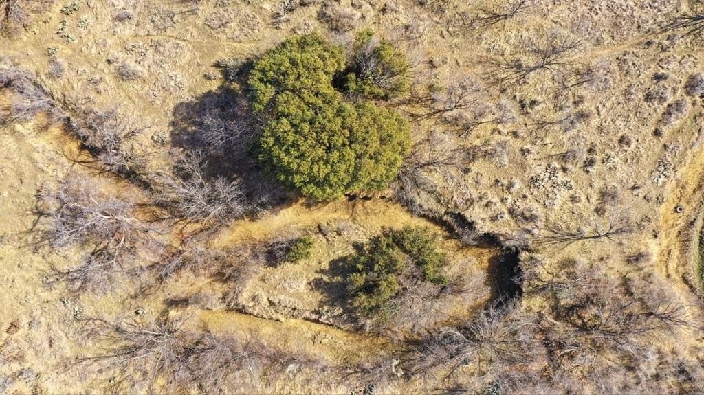 115 acres in Shackelford County featured view