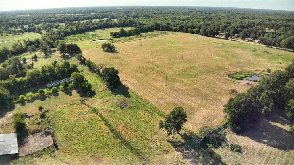 227.19 acres in Hopkins County gallery image 4