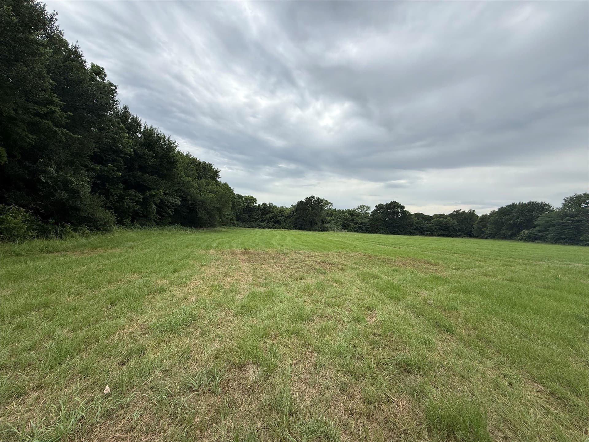 17.15 acres in Kaufman County gallery image 3