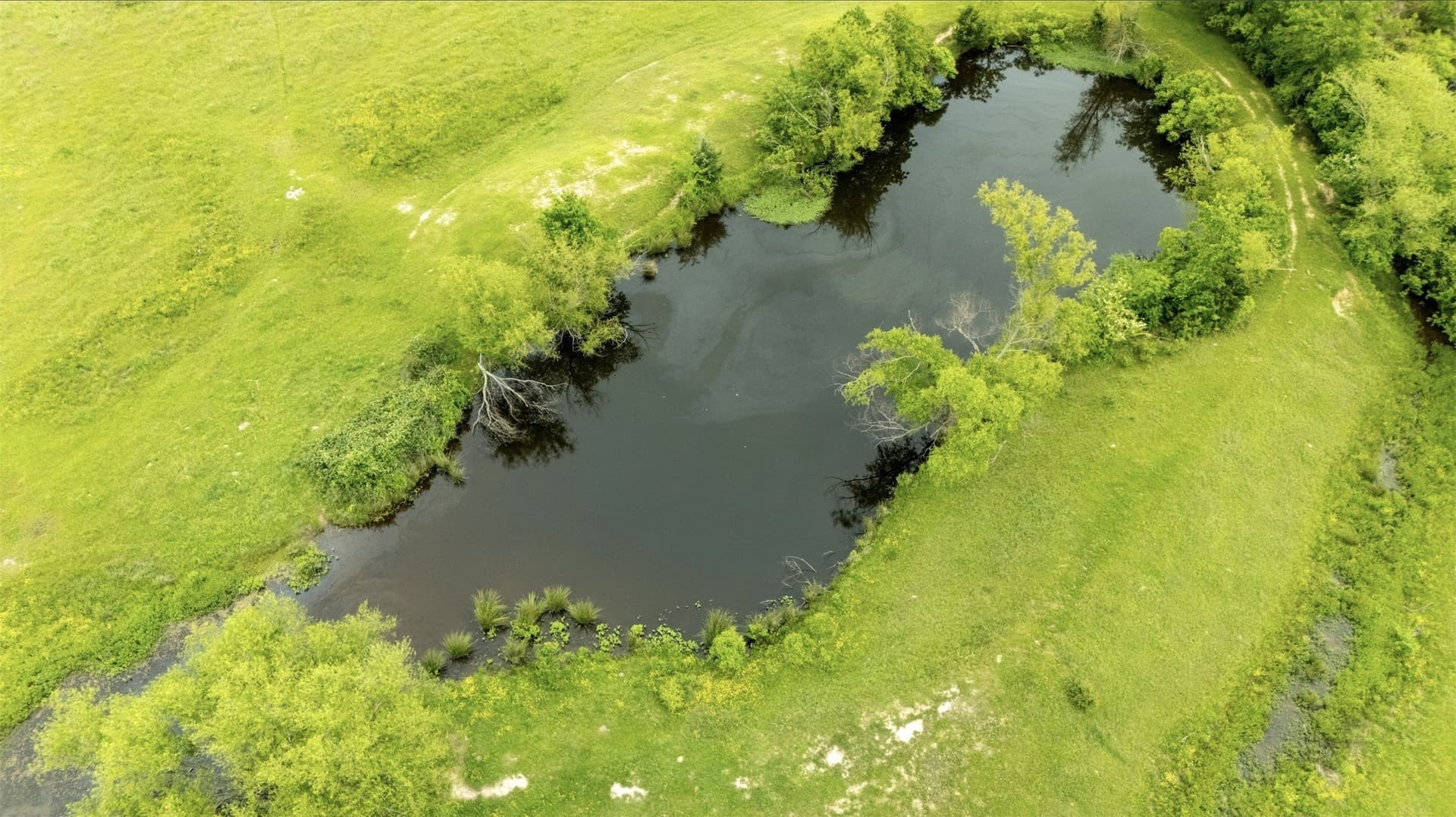 36.17 acres in Hopkins County - photo 24