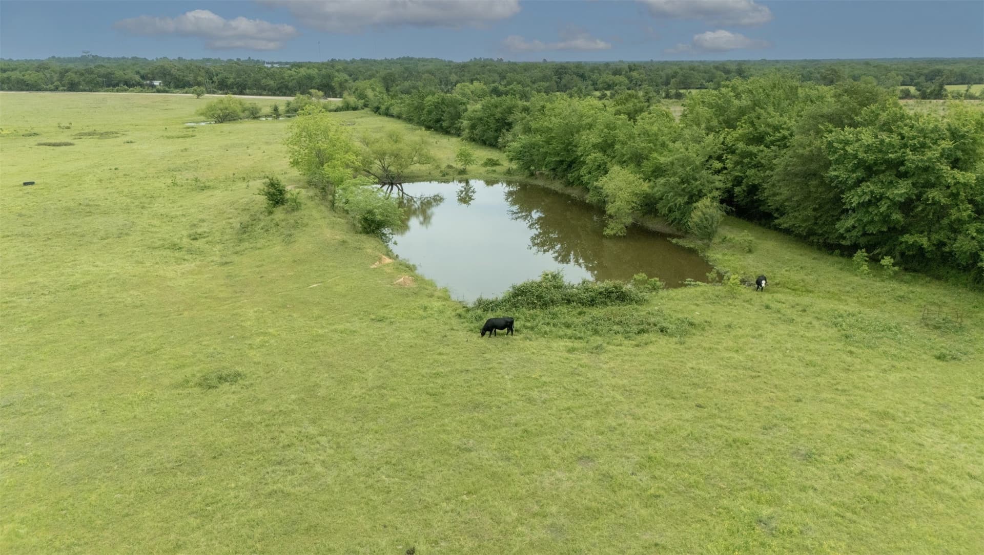 36.17 acres in Hopkins County - photo 6