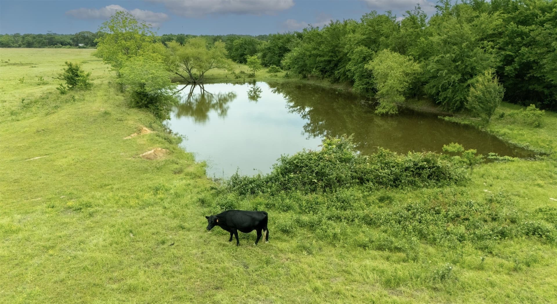 36.17 acres in Hopkins County - photo 8