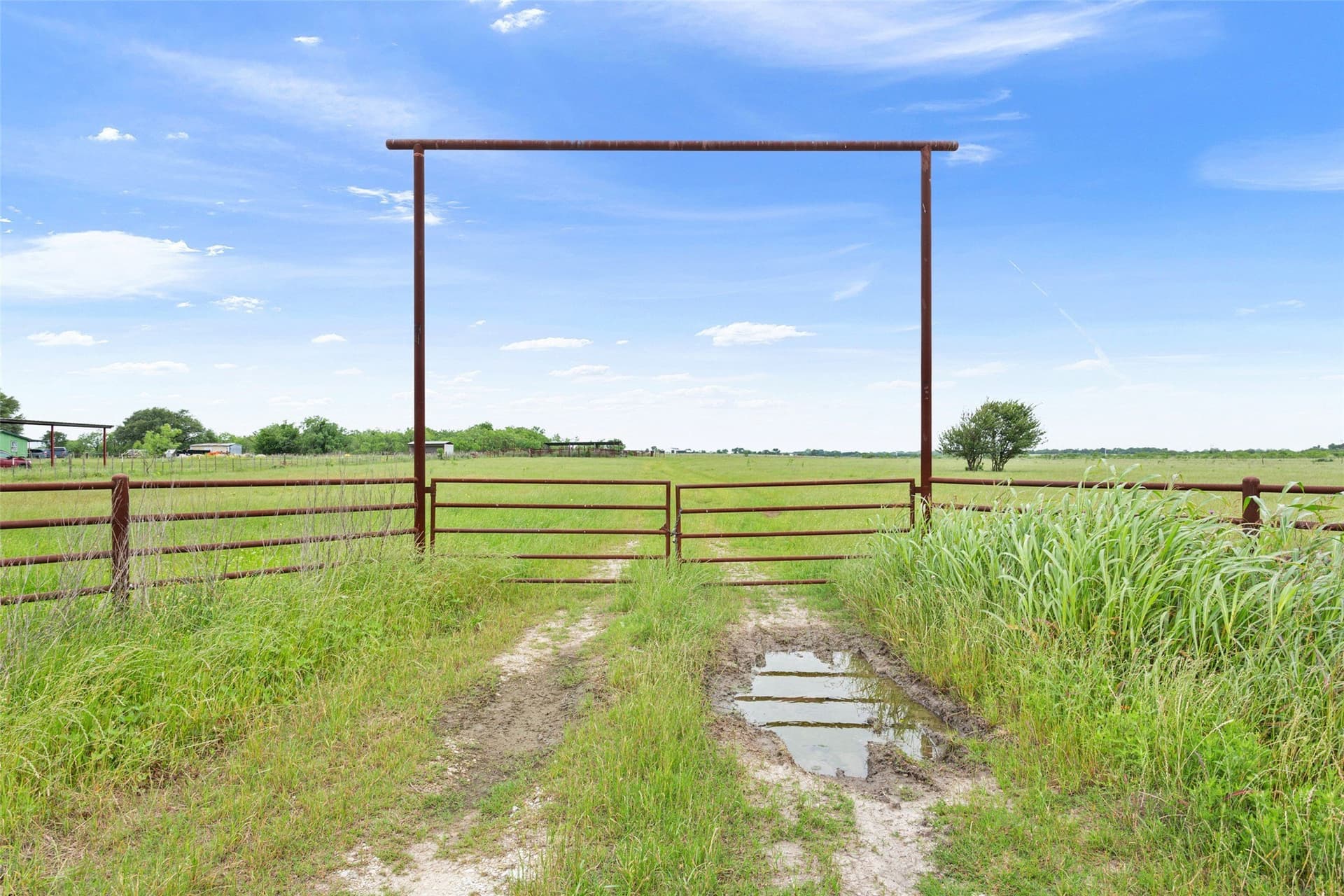 19 acres in Limestone County - photo 11