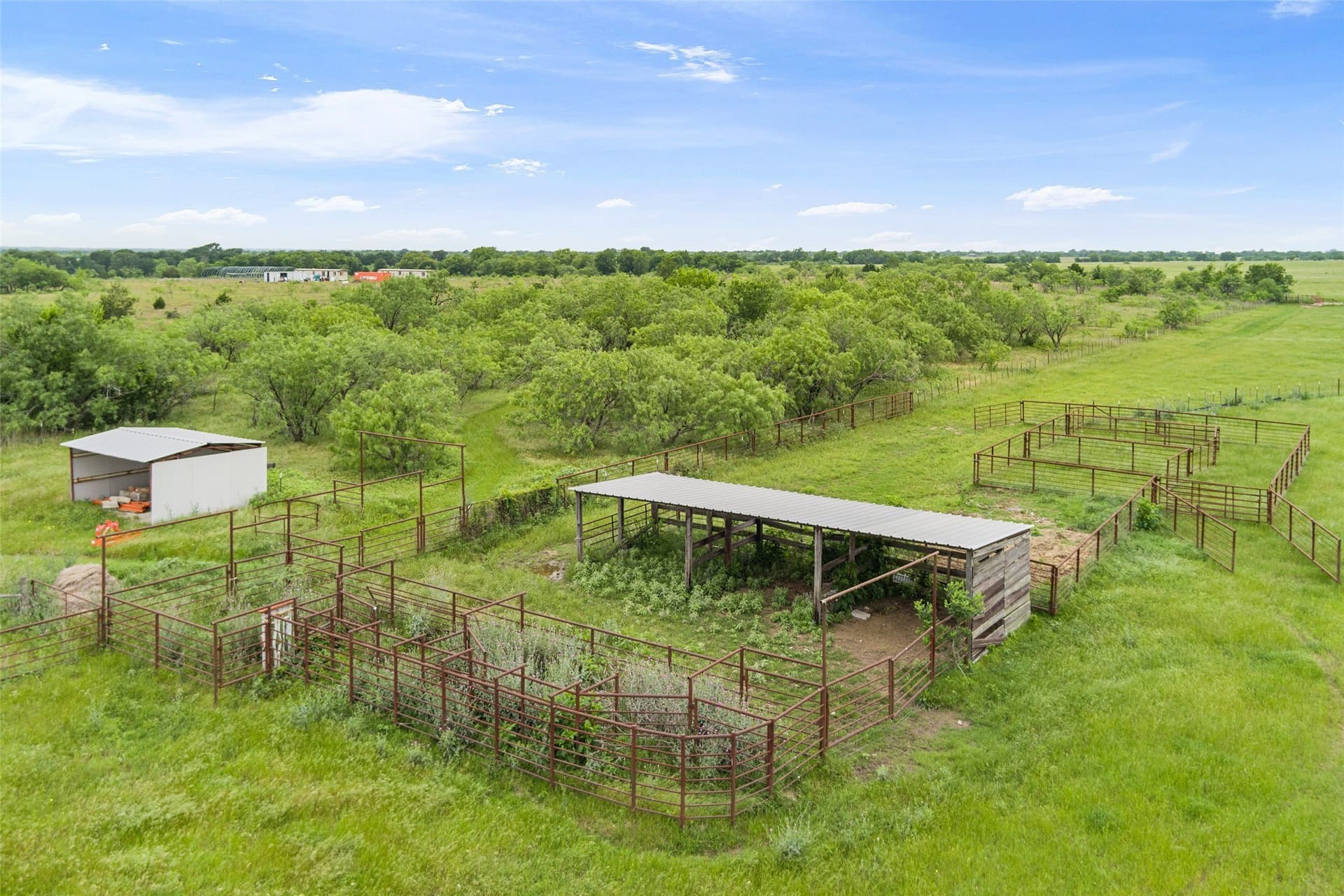 19 acres in Limestone County - photo 15