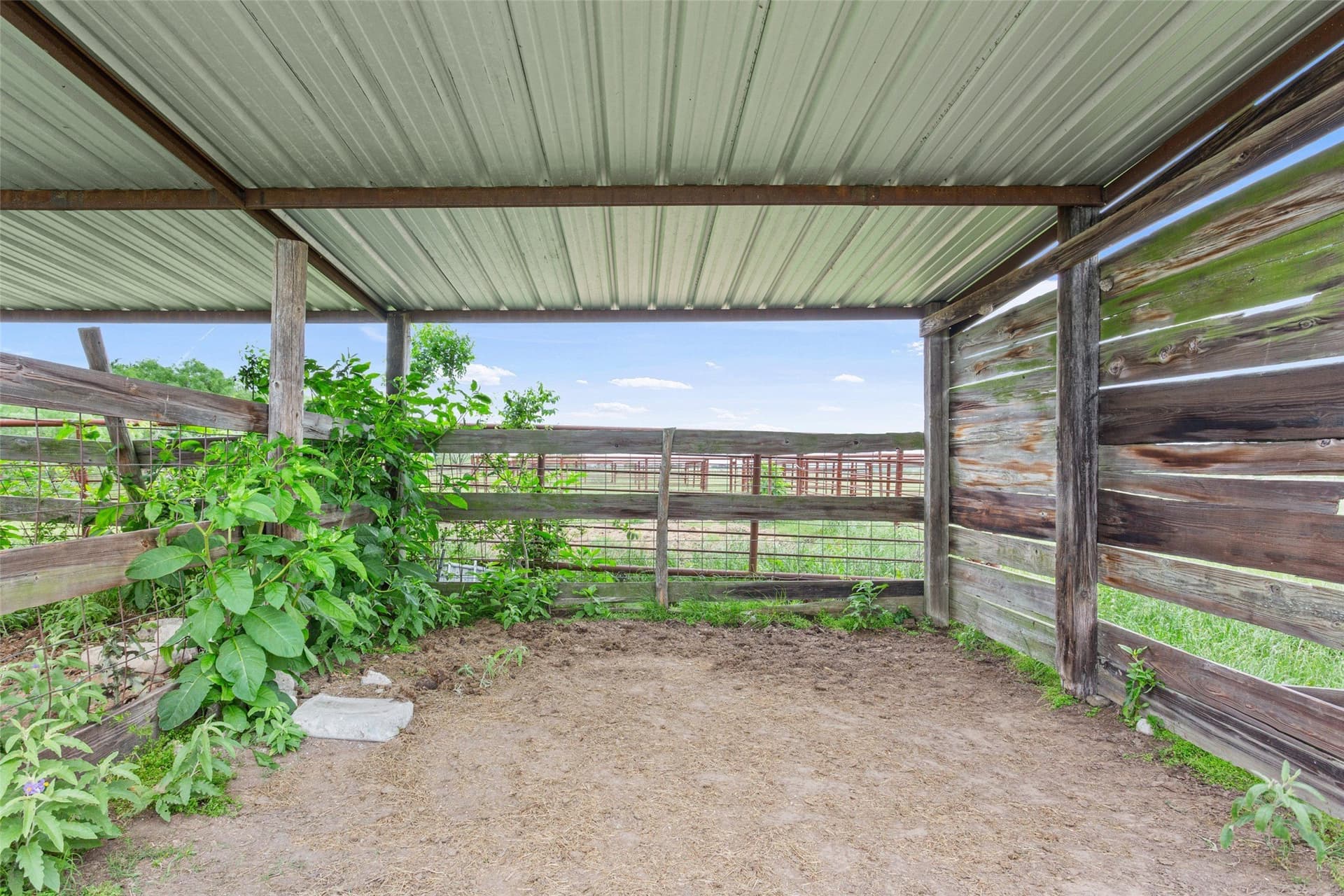 19 acres in Limestone County - photo 13
