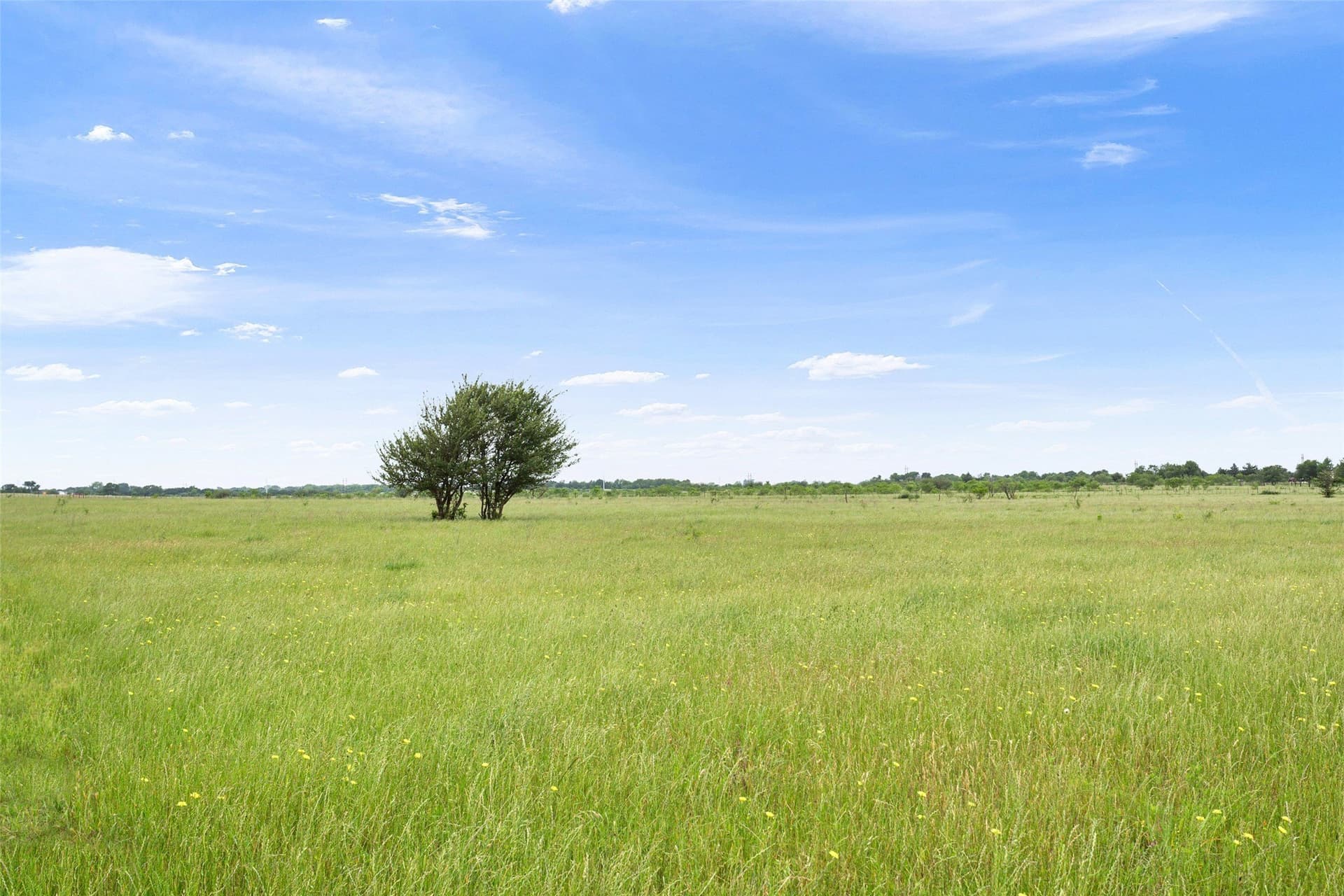 19 acres in Limestone County - photo 16