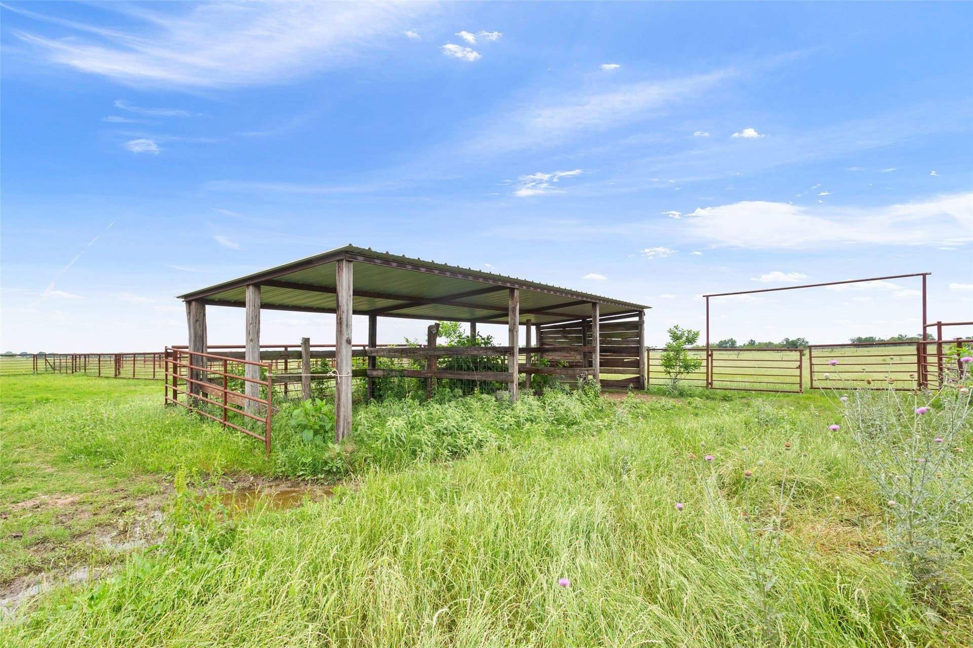 19 acres in Limestone County - photo 14