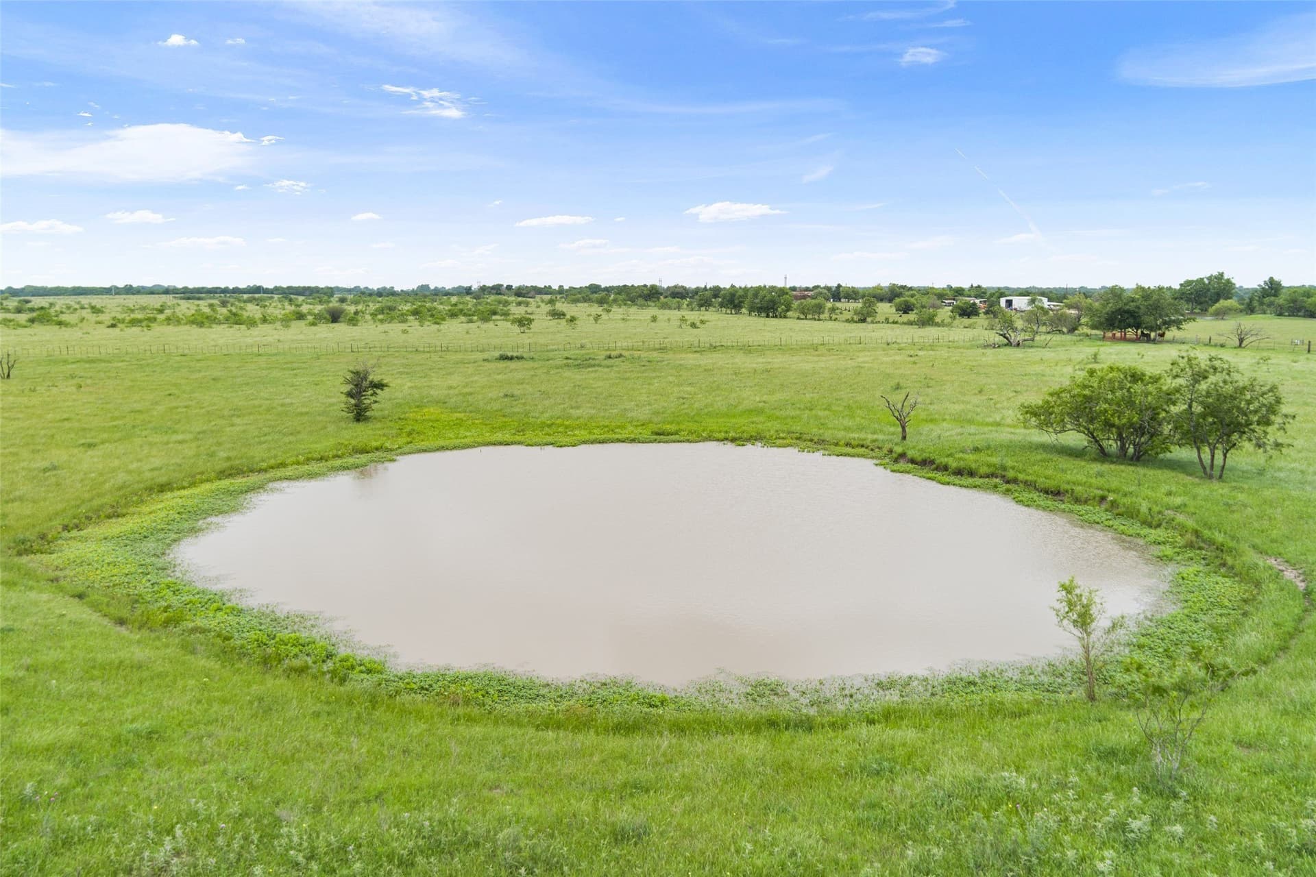 19 acres in Limestone County - photo 9