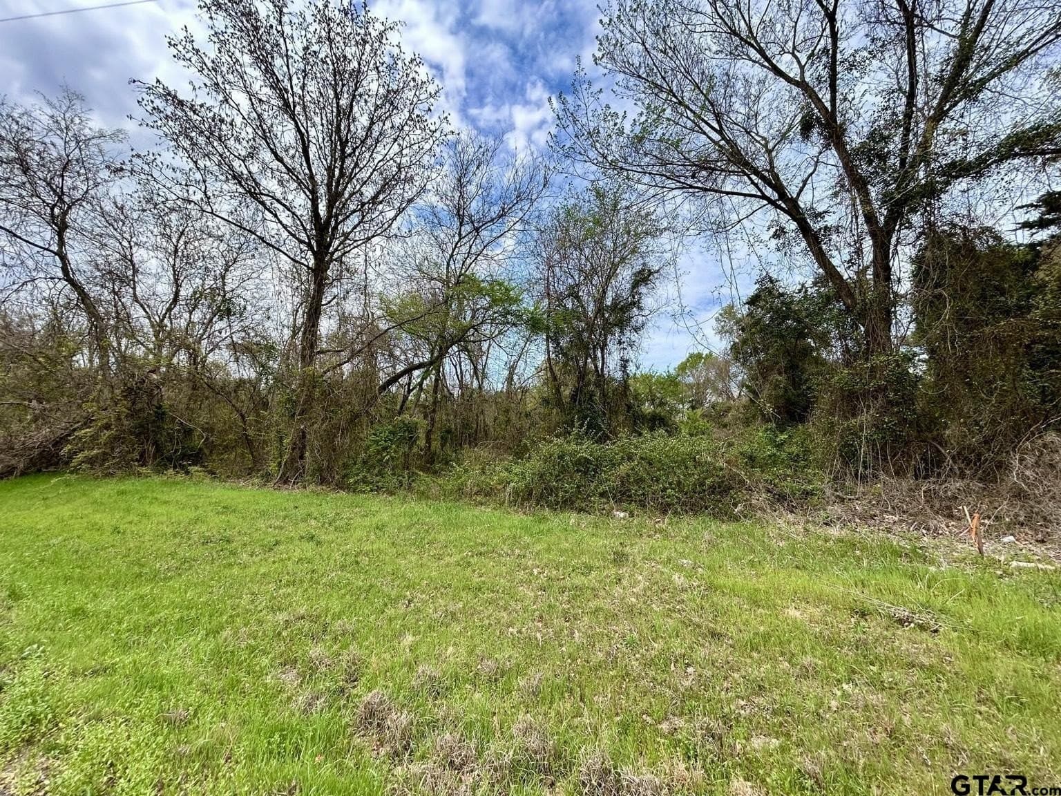 2.74 acres in Camp County gallery image 3