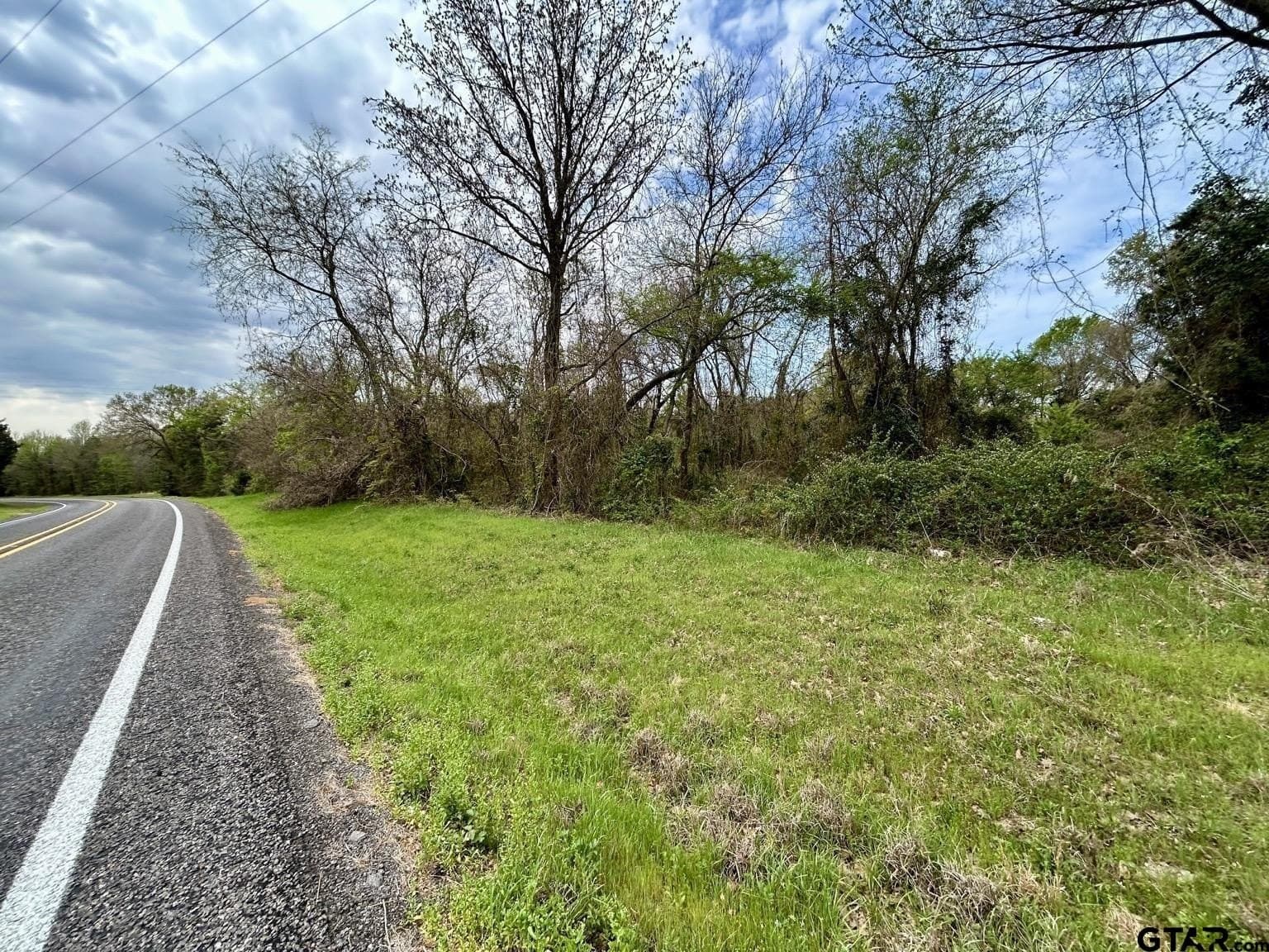 2.74 acres in Camp County gallery image 2