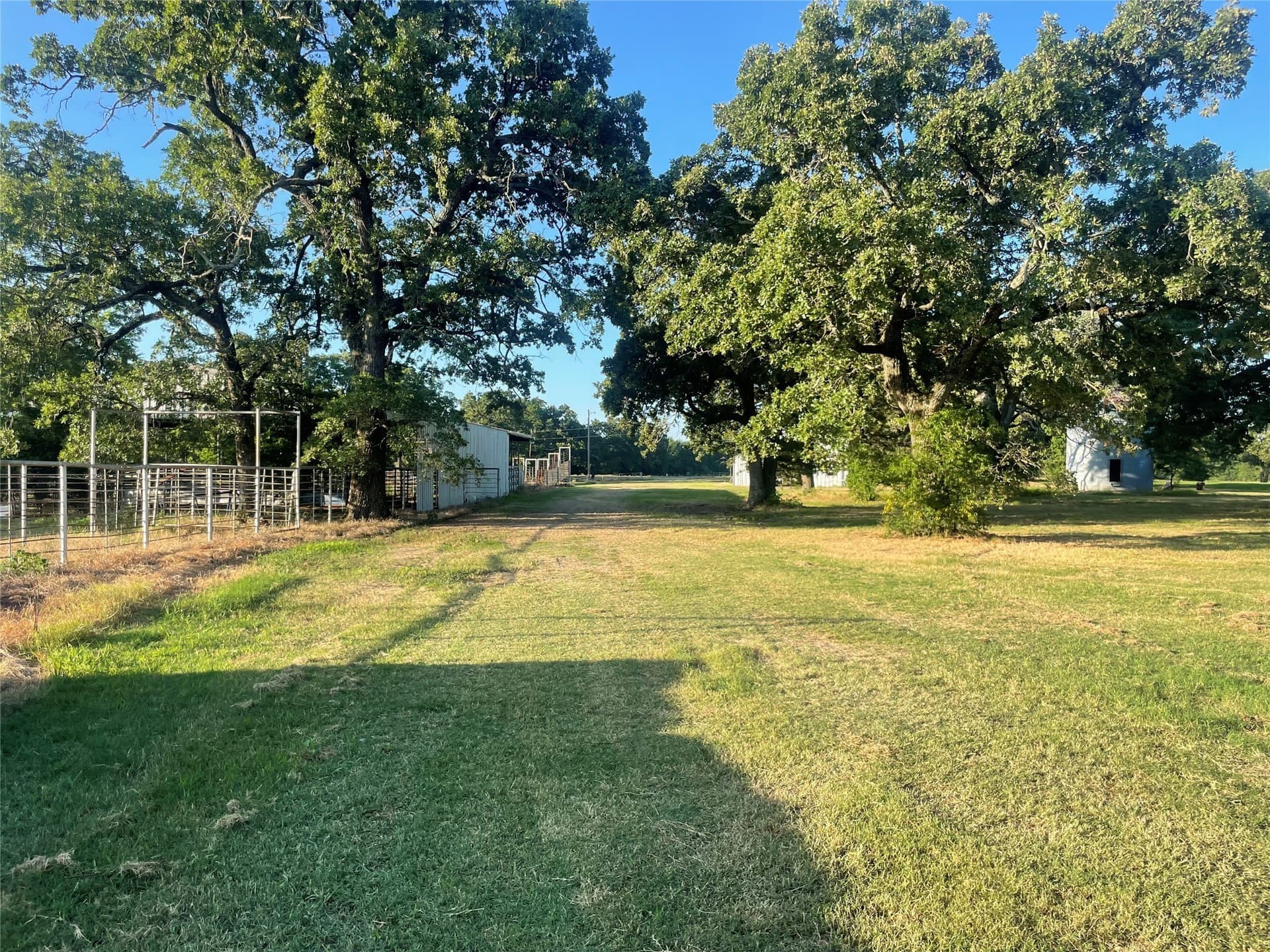 50 acres in Fannin County gallery image 3