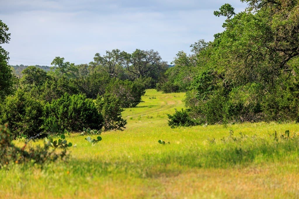 100.87 acres in Kerr County - photo 13