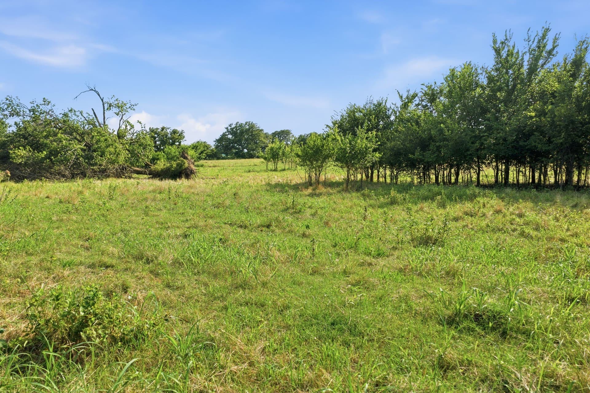 16.36 acres in Parker County - photo 12