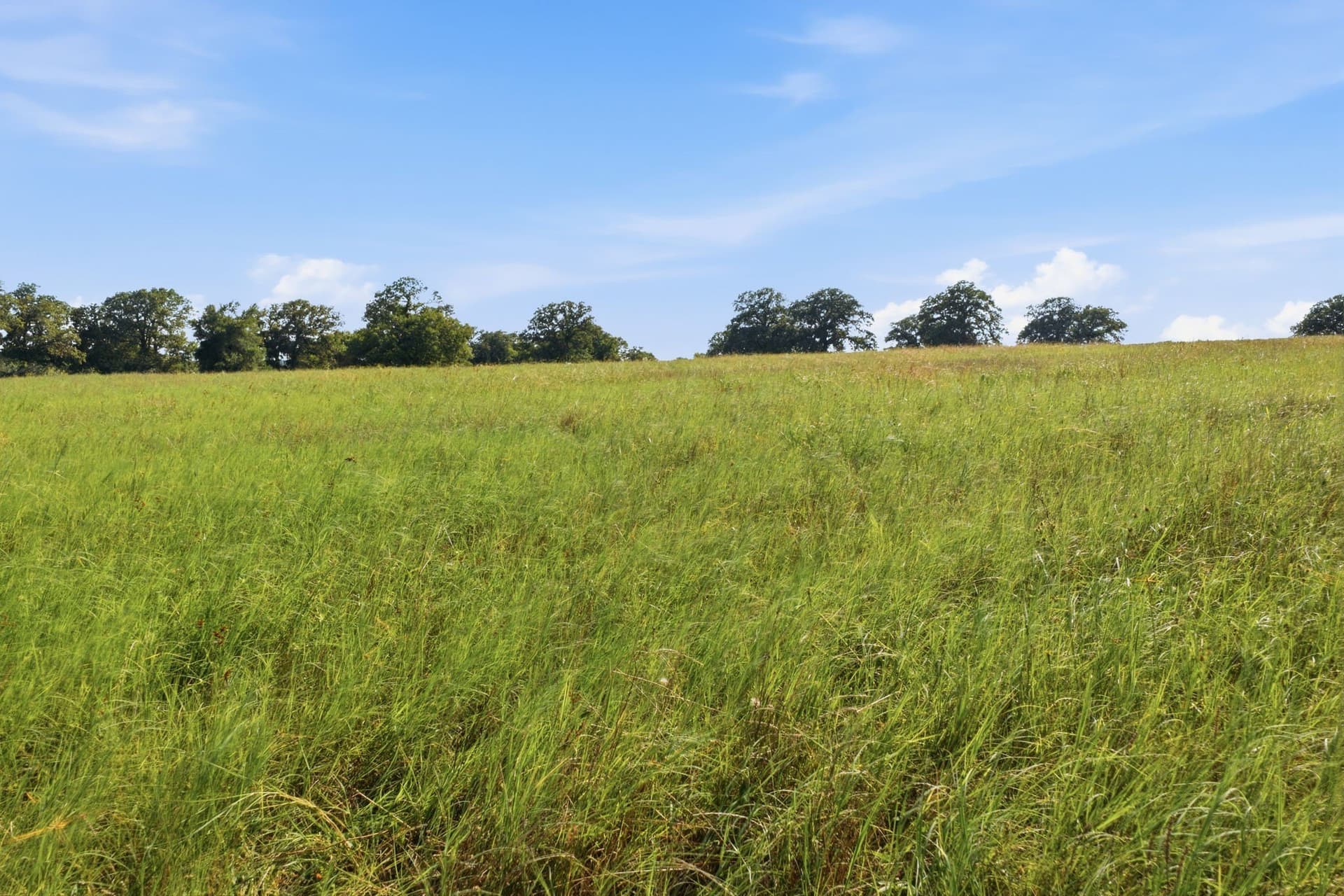 16.36 acres in Parker County - photo 7
