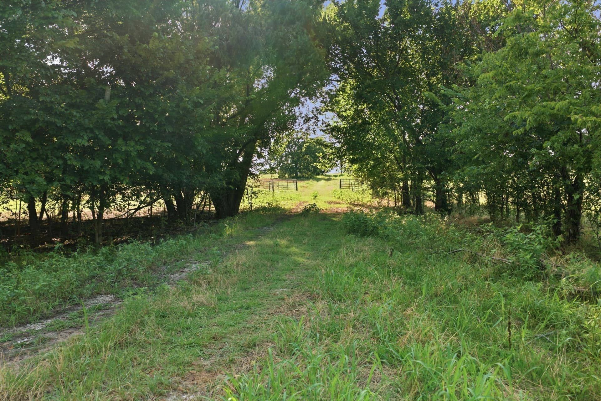 16.36 acres in Parker County - photo 4